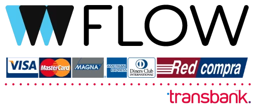 logo-flow-def-1.png